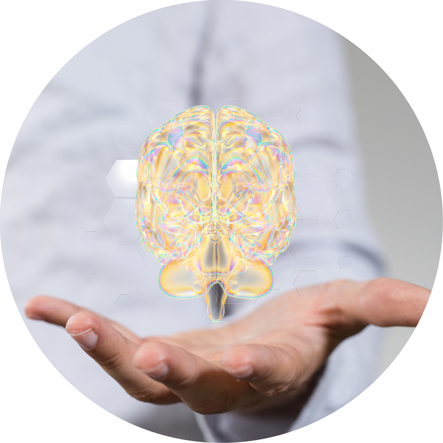 NEUROSERINE® 1 cerveau lecimarine