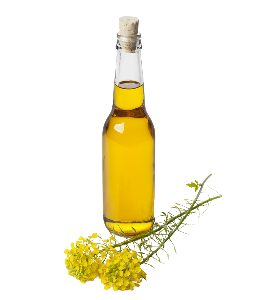 lecithines huile colzal