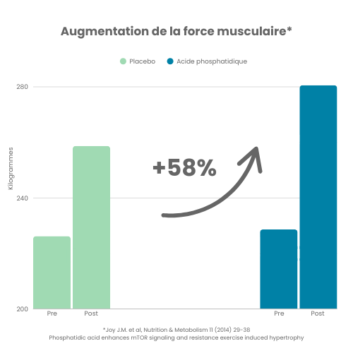 PHOSPHAMAX® 7 Augmentation de la force musculaire