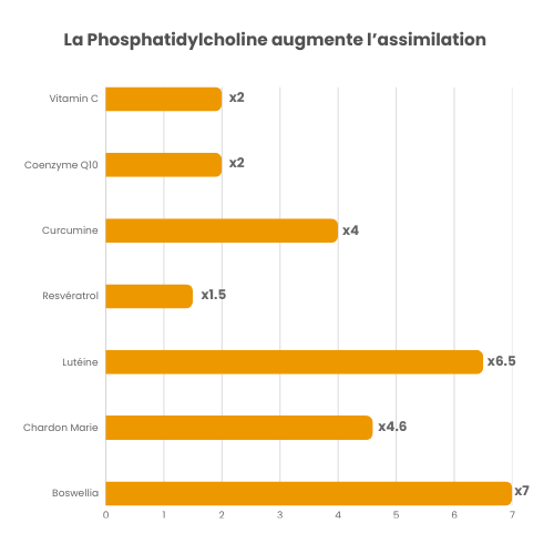 CHOLINACTIVE® 6 La Phosphatidylcholine augmente l’assimilation