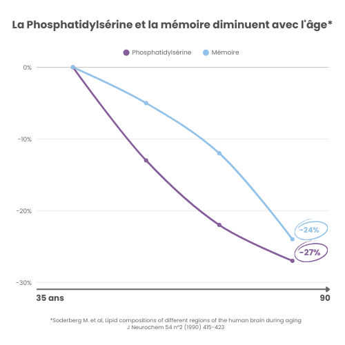 NEUROSERINE® 6 La Phosphatidylsérine et la mémoire diminuent avec l'âge