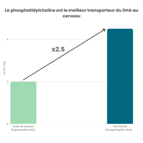 LECIMARINE® 8 La phosphatidylcholine est le meilleur transporteur du DHA au cerveau