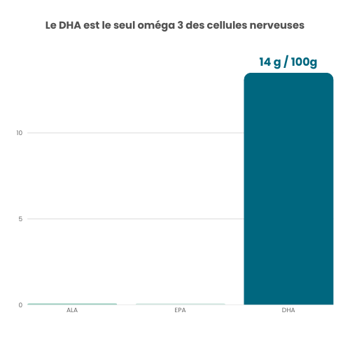 LECIMARINE® 7 Le DHA est le seul oméga 3 des cellules nerveuses