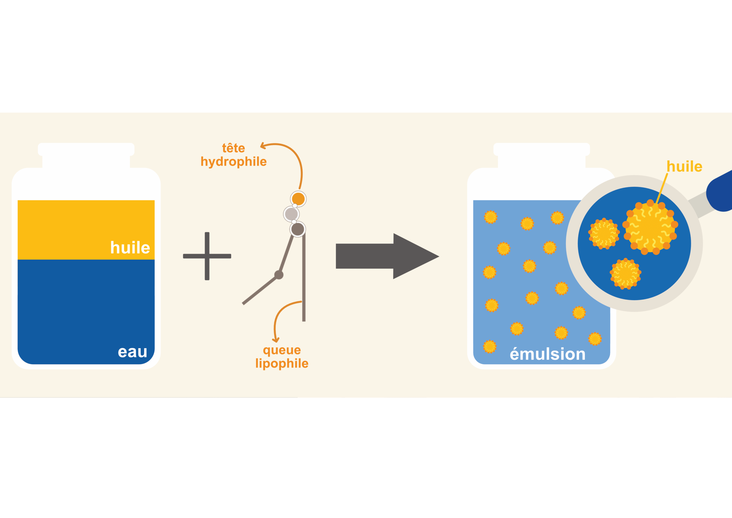 LECITHINES 6 Schéma lecithine