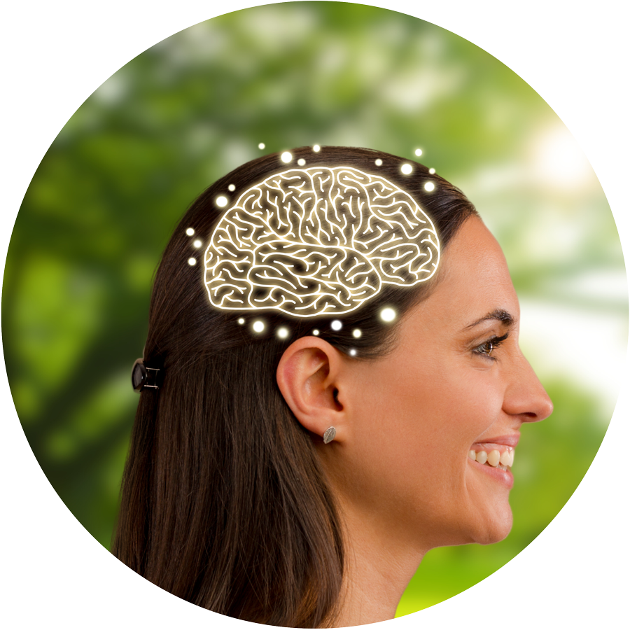 cerveau neon 900x900 1