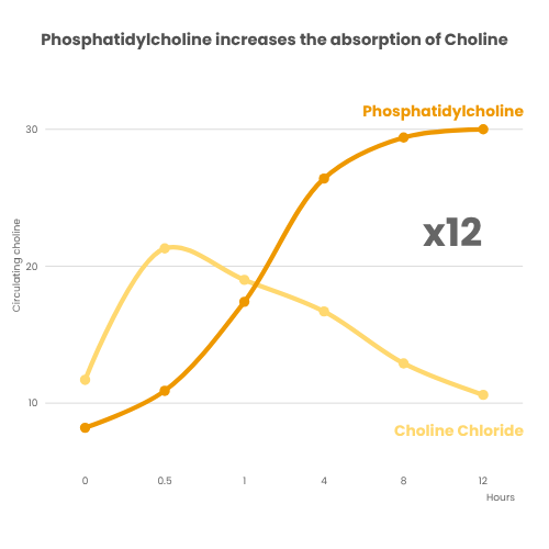 CHOLINACTIVE® 7 (2) Phosphatidylcholine increases absorption of choline