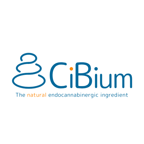 Cibium baseline orange 2