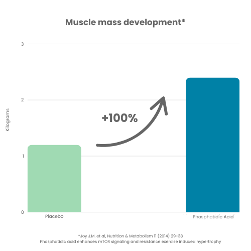 PHOSPHAMAX® 5 Muscle mass development