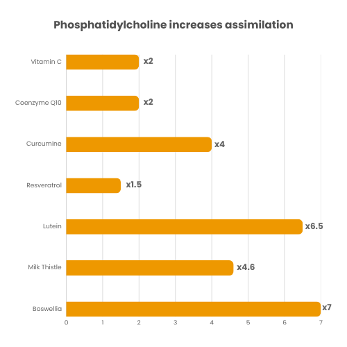CHOLINACTIVE® 6 Phosphatidylcholine increases assimilation