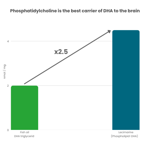 LECIMARINE® 8 Phosphatidylcholine is the best carrier of DHA to the brain