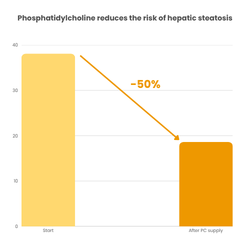 CHOLINACTIVE® 8 Phosphatidylcholine reduces the risk of hepatic steatosis