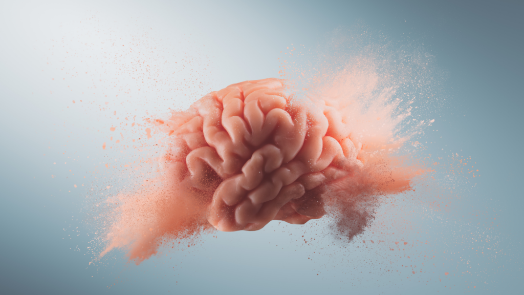 Cerveau