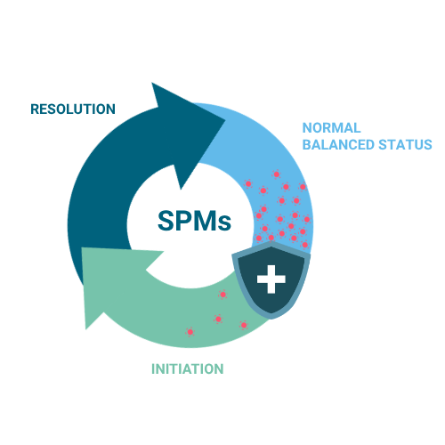 Schéma Inflammation RESOLVE