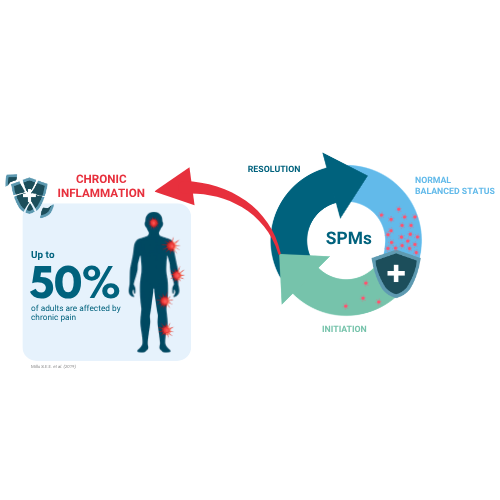 RESOLVE 5 Schéma Inflammation chronique RESOLVE