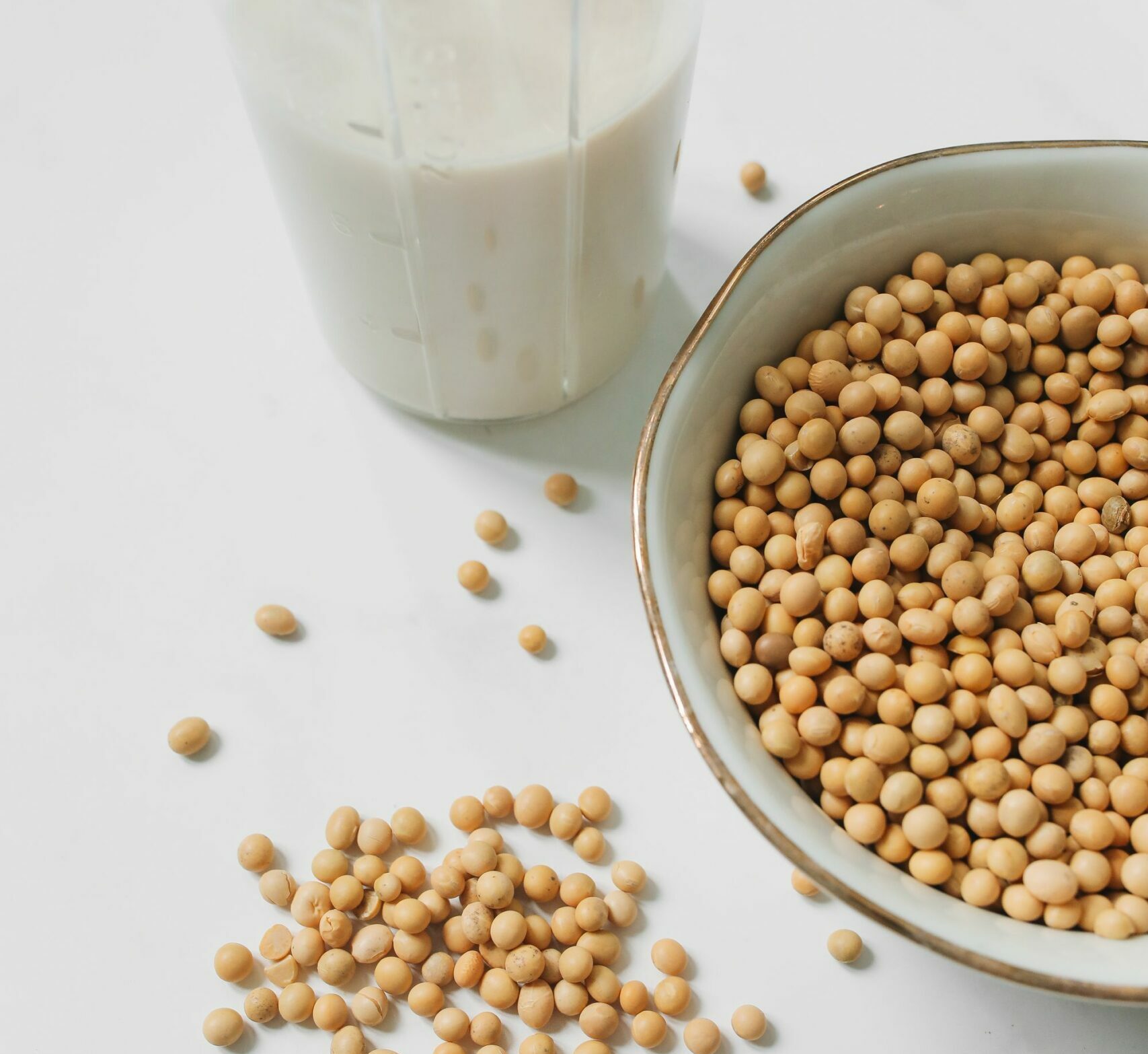 Fournisseur de Phosphatidylcholine : Pourquoi choisir les ingrédients de Novastell pour développer vos compléments alimentaires ? 5 fournisseur phosphatidylcholine_image
